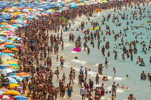 Expert Recommendations for Navigating Spain's Urban Rental Crackdown