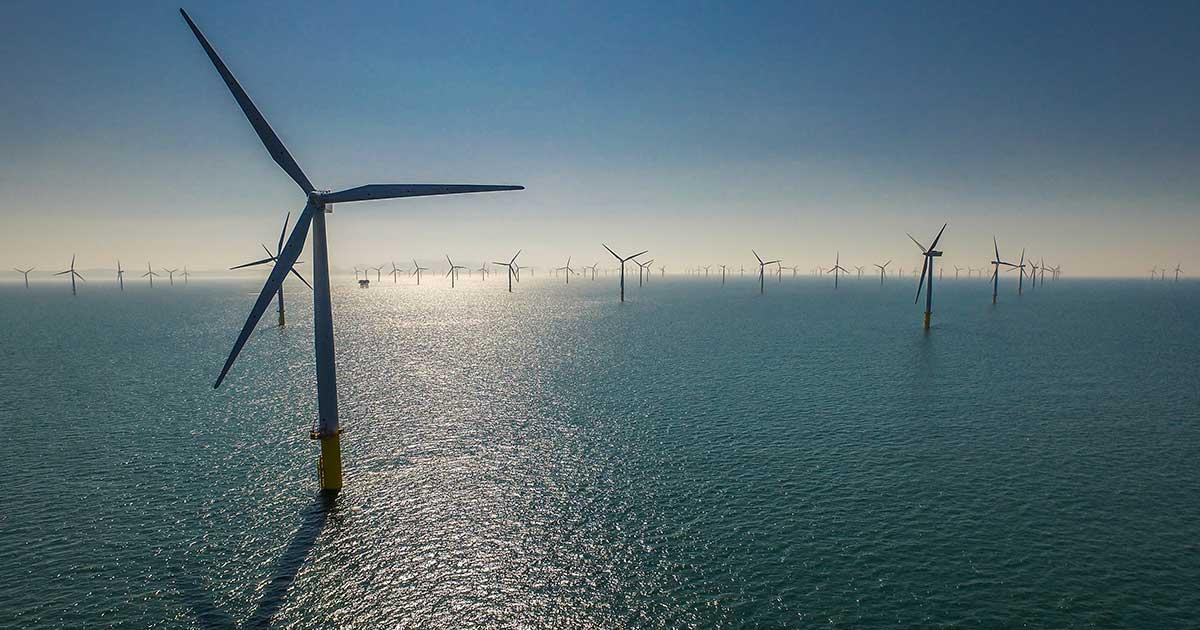 Innovative Technologies Driving Efficiency and Environmental Care