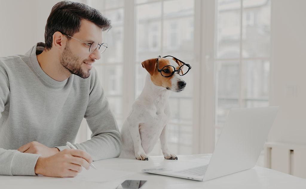How Technology Supports Pet Owners in Daily Life