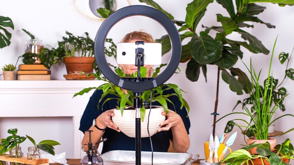 Is the Creator Economy a Threat to Traditional Brands?