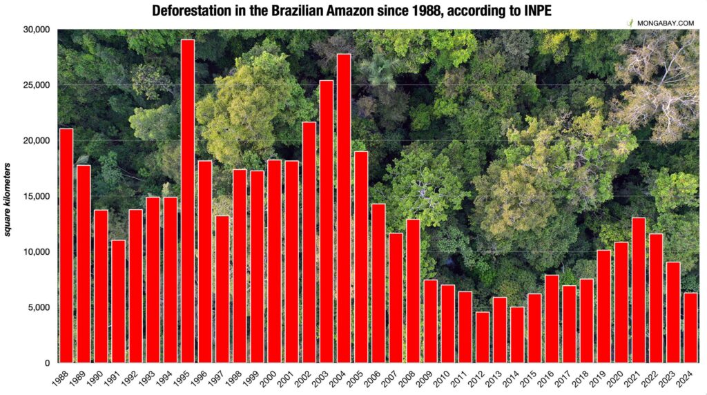 Amazon Rainforest Deforestation Reaches Critical Level