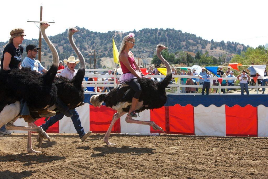 Exploring Extreme and Unexpected Sporting Challenges