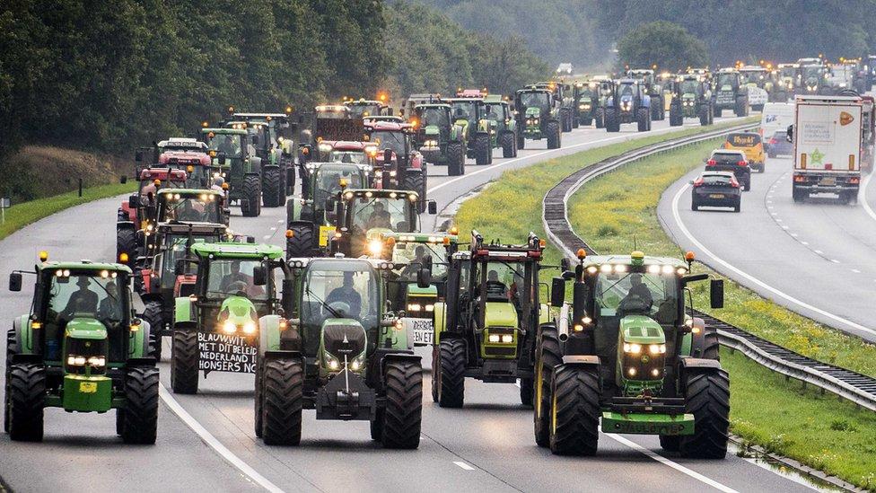 Dutch Farmers Protest Environmental Policies Again