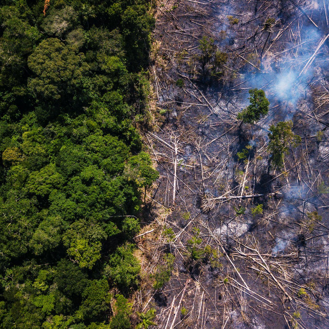Impact on Global Climate and Indigenous Communities