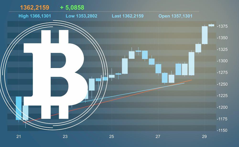 Assessing Volatility and Risk Factors in Crypto Markets