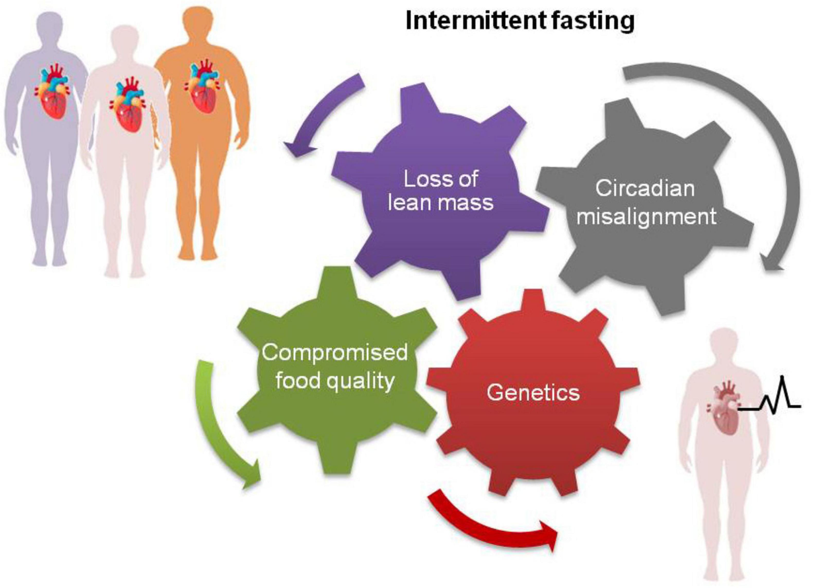 Tailoring Intermittent Fasting to Modern Lifestyles and Wellness Goals