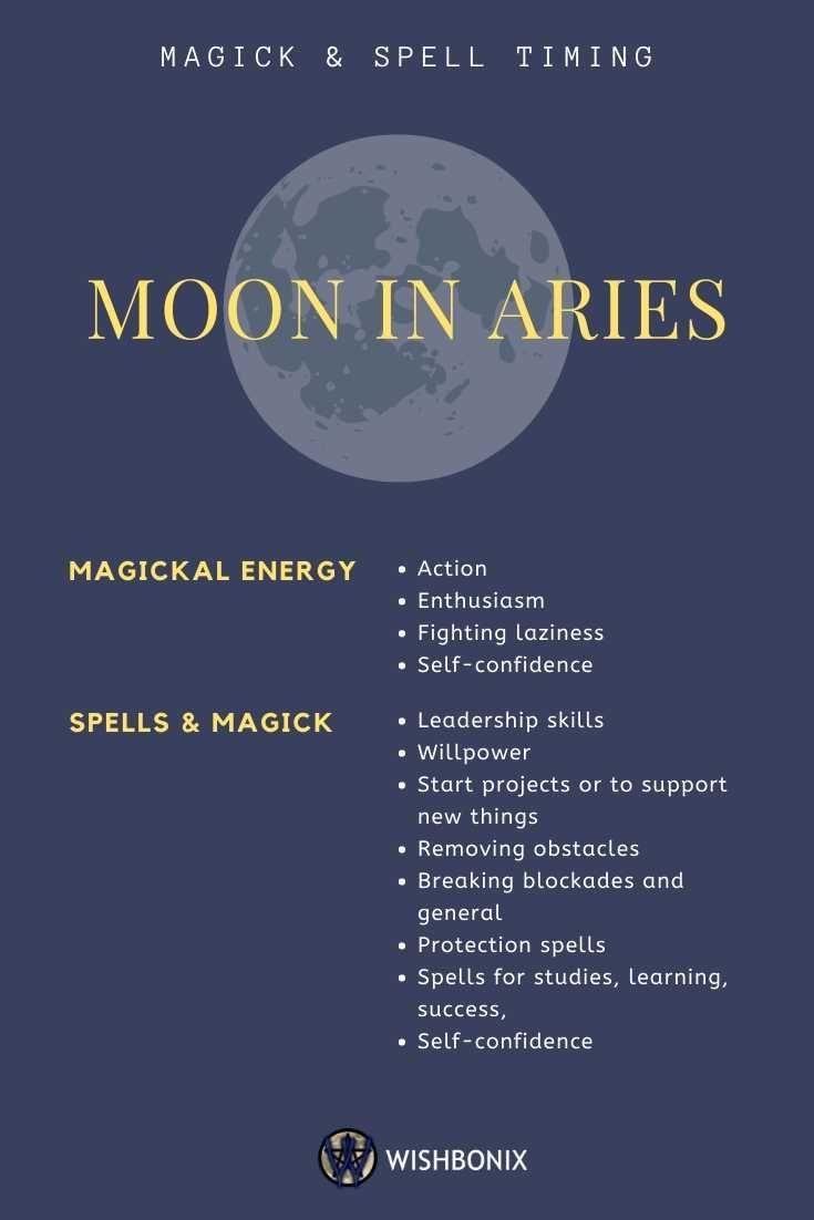Aries Moon Traits Fueling Bold Leadership in Startups