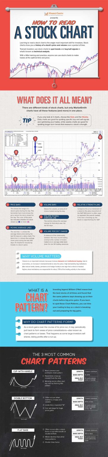 Economic Indicators Every Beginner Investor Should Watch