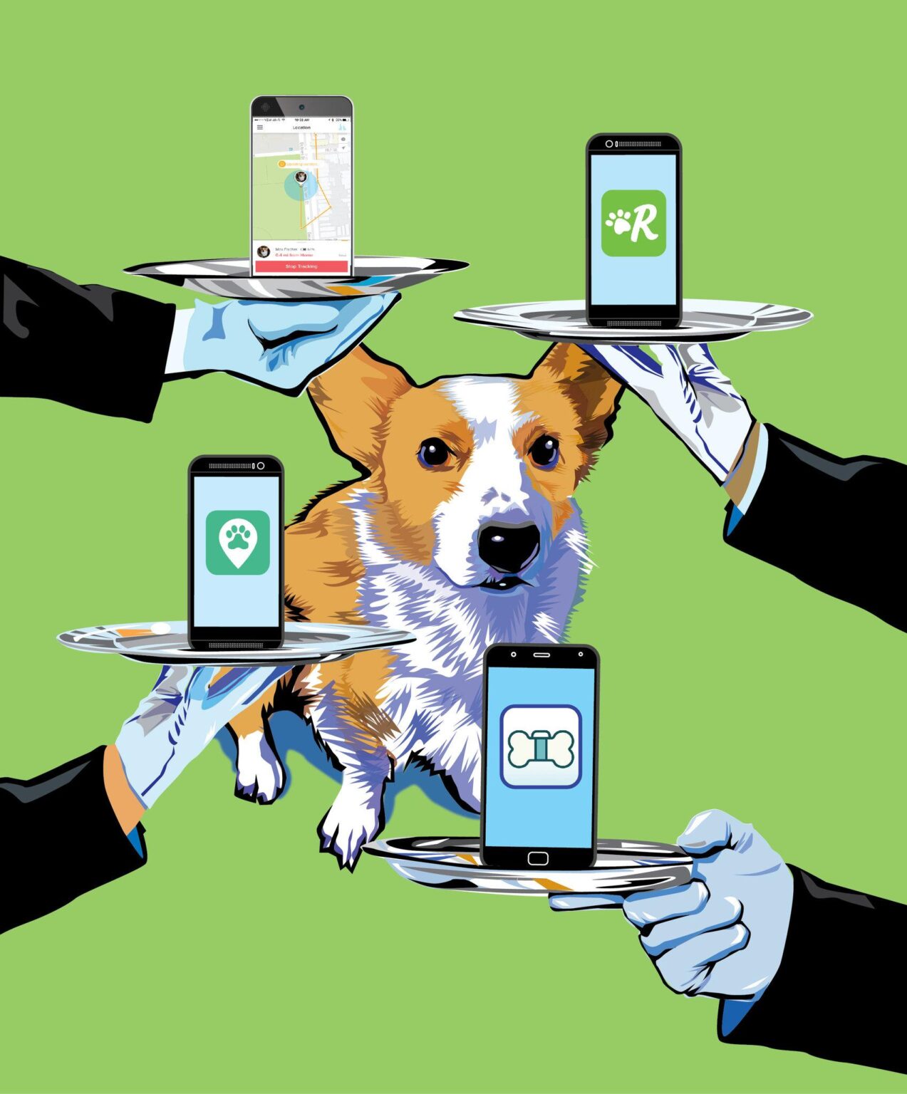 How Technology Supports Pet Owners in Daily Life