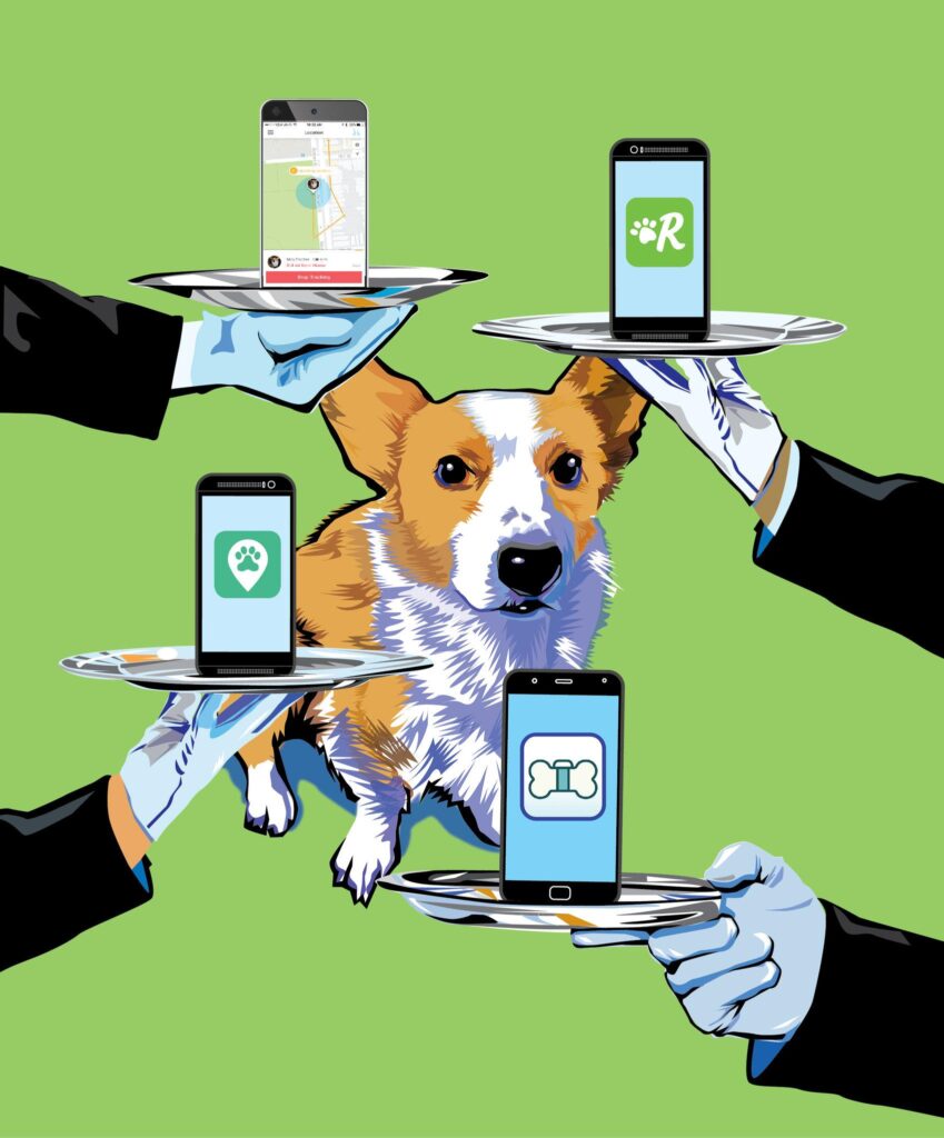 How Technology Supports Pet Owners in Daily Life