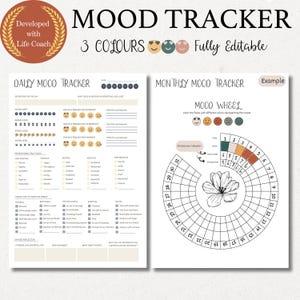 Exploring the Connection Between Productivity and Mental Clarity