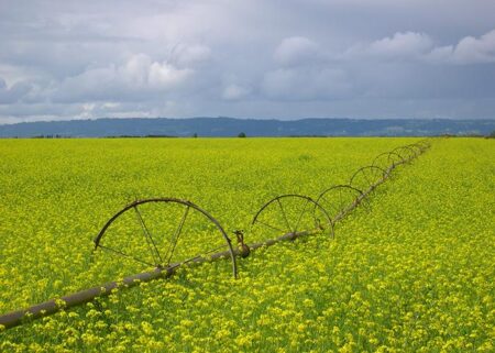 This Local Law in Oregon Could Reshape Global Agriculture