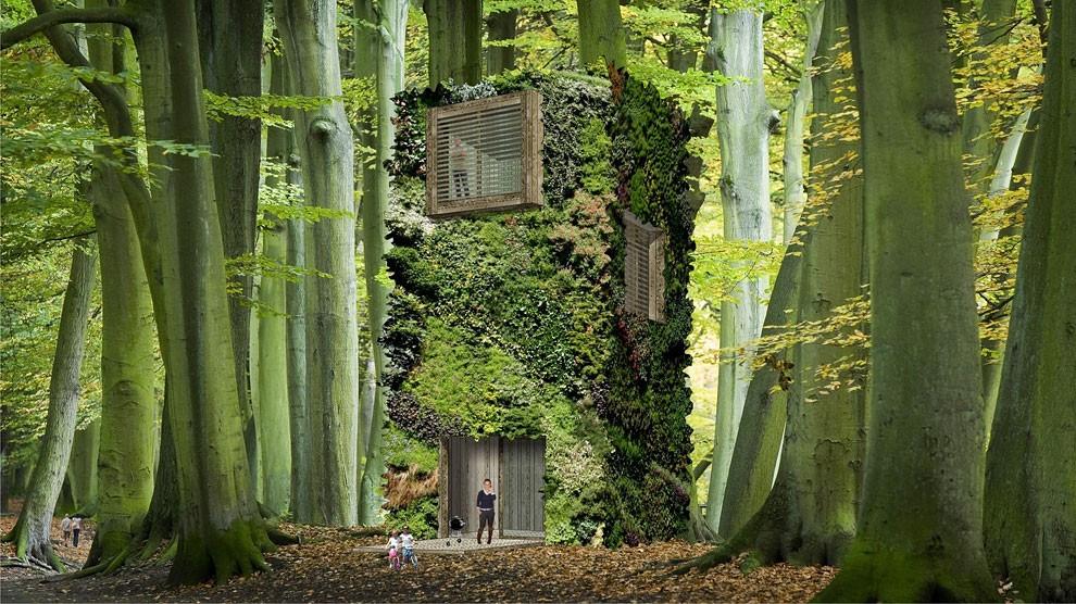 The Role of Ancient Trees in Urban Ecosystem Health