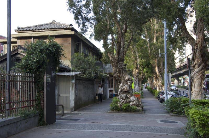 Why Scientists Are Studying Ancient Trees in Urban Neighborhoods