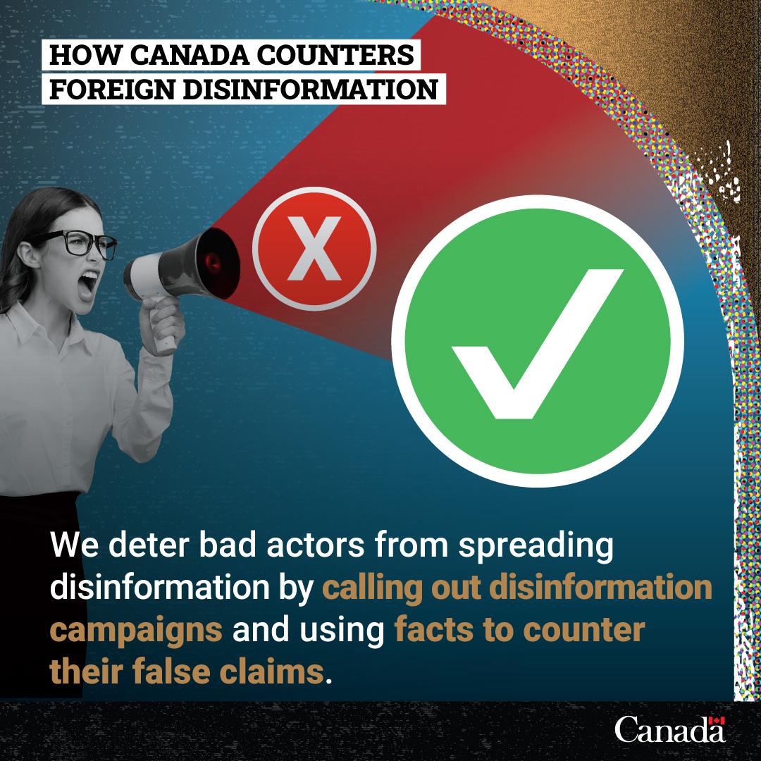 The Influence of Social Media Algorithms on Disinformation Amplification