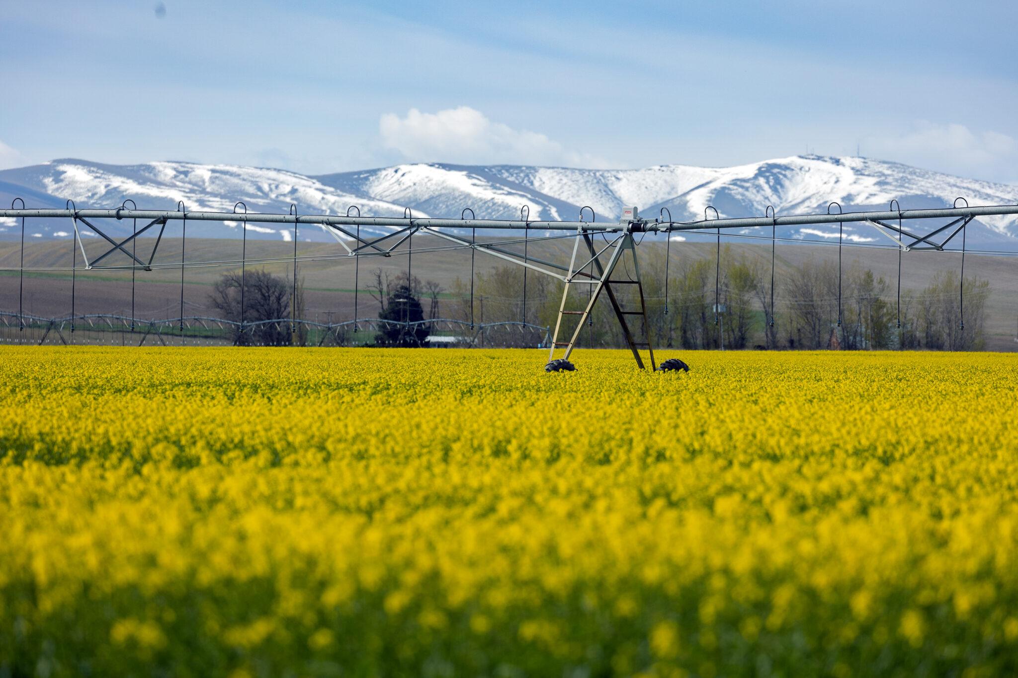 This Local Law in Oregon Could Reshape Global Agriculture