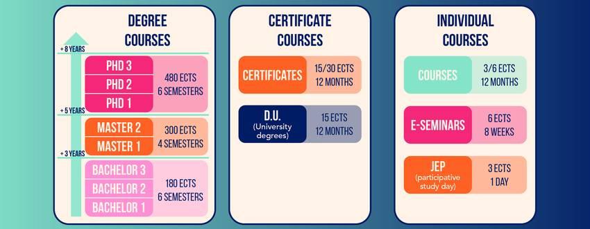 Designing Your Path: Tailoring Education to Individual Needs