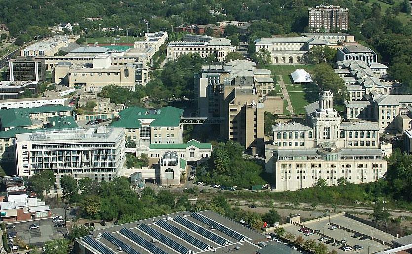 The Strategic Appeal of Africa for Global Universities