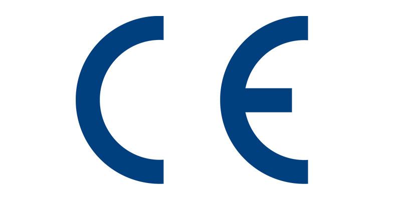 Europe's Vision for a Unified Electric Vehicle Future