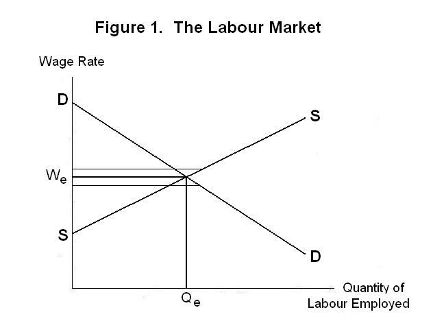 Analyzing Sectoral Shifts and Workforce Dynamics
