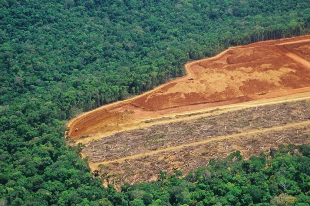 Strategic Policy Measures and Community-Led Conservation Efforts