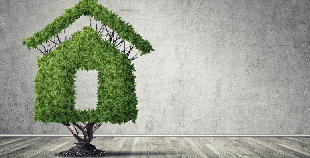 Innovative Green Building Technologies Transforming Real Estate