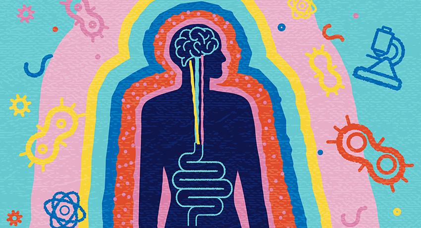 Understanding the Science Behind Modern Gut Health Cleanses