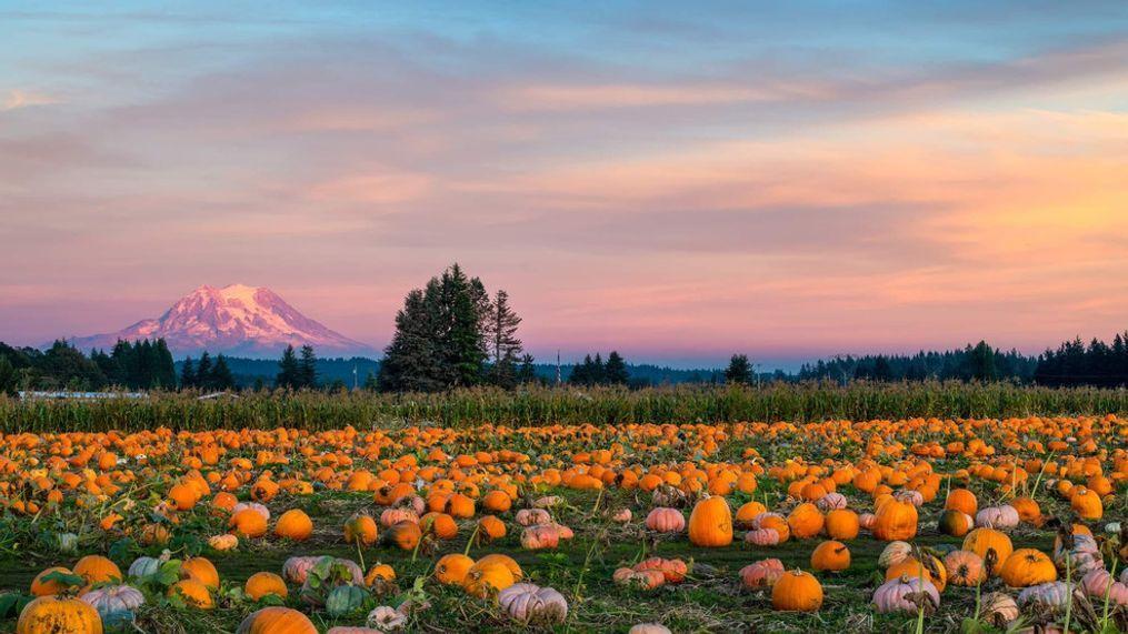 Economic and Environmental Impacts on Farming Communities