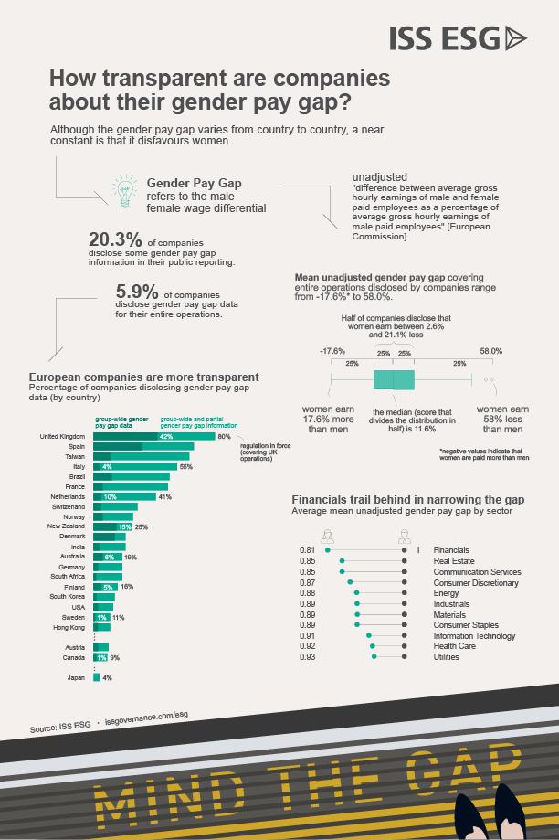 Exploring the Gender Pay Gap at Public Companies