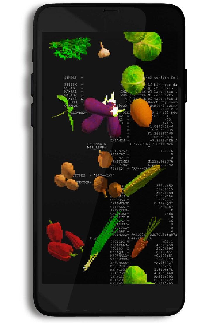 Future Directions and Ethical Considerations in AI Nutrition