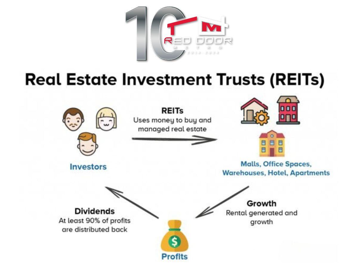Real Estate Investment Trusts (REITs) Surge in Popularity