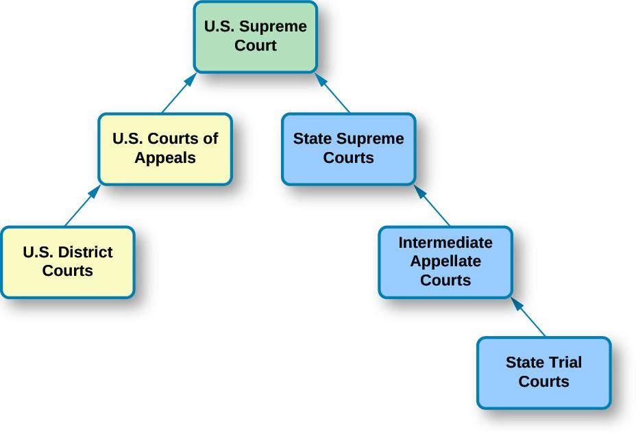 Understanding the Foundations of State and Federal Power
