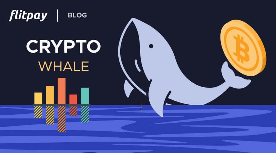 Understanding the Influence of Crypto Whales on Market Dynamics