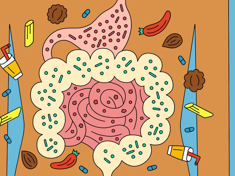 Post-Cleanse Nutrition Strategies for Long-Term Gut Wellness