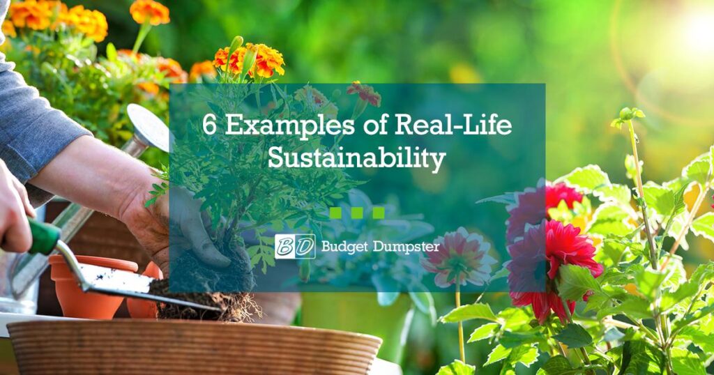 Greenwashing vs. Real Sustainability: How to Tell