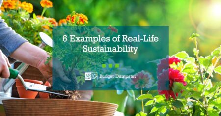 Greenwashing vs. Real Sustainability: How to Tell