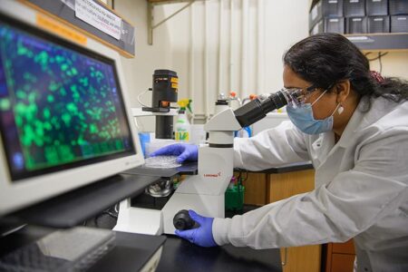 Why One Scientist’s Quiet Discovery Could Transform Cancer Treatment