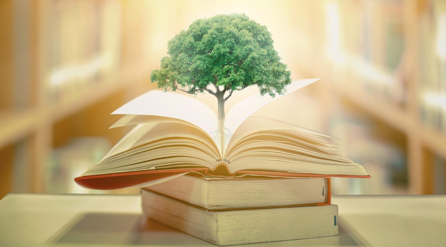 Universities Redesign Majors to Include Sustainability Core