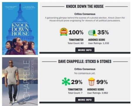 Movie Critics vs. Audiences: Why Reviews Are Dividing