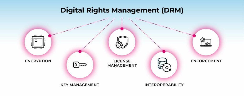 Strategies for Sustaining Momentum in Digital Rights Campaigns