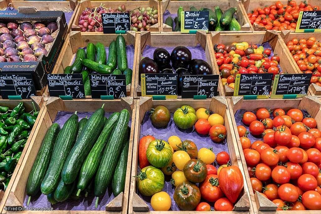 Balancing Innovation and Safety in Agricultural Biotechnology