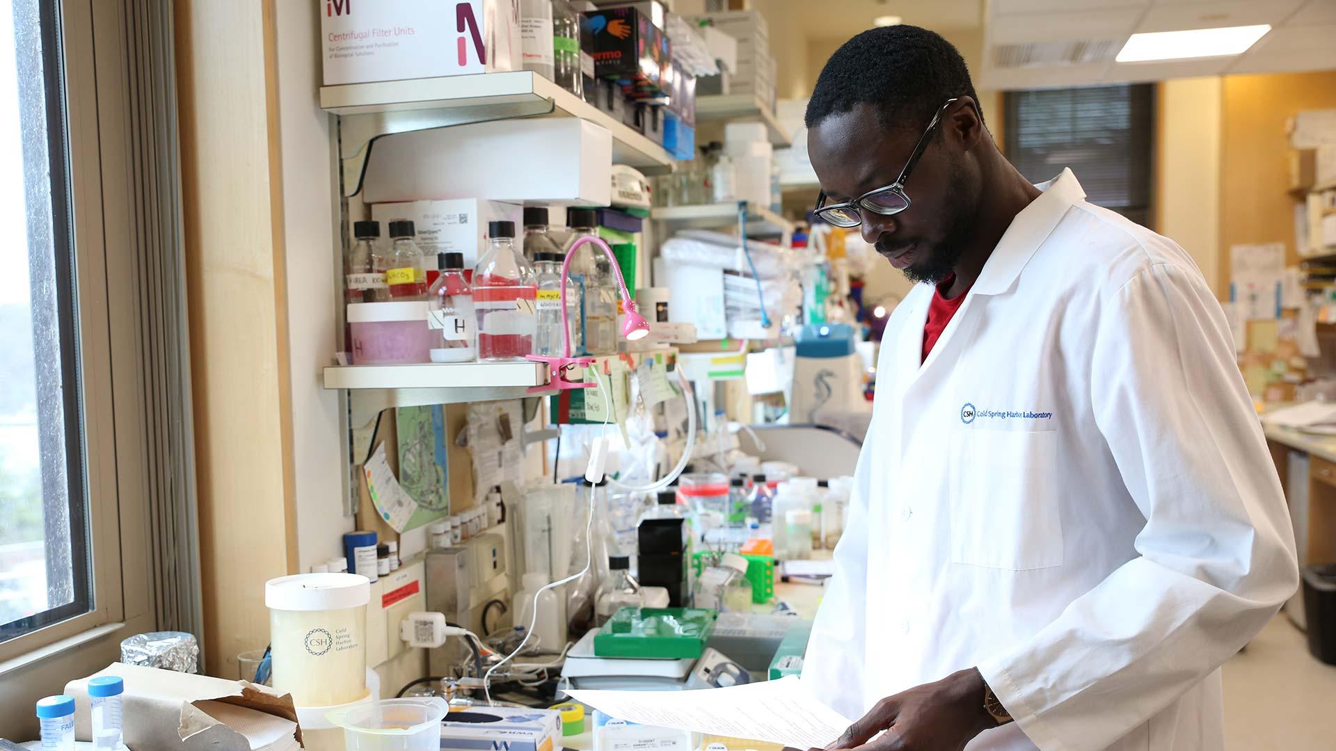 Why One Scientist's Quiet Discovery Could Transform Cancer Treatment