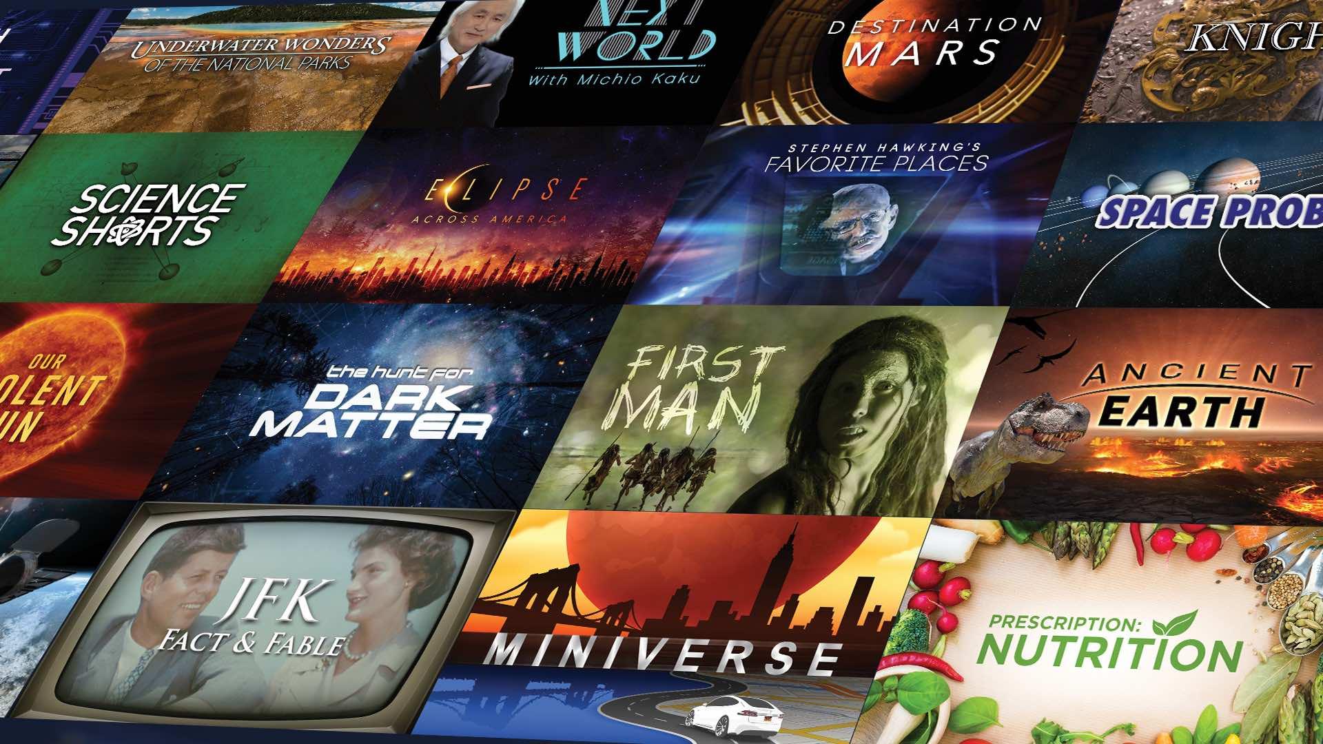 Behind the Scenes How Streaming Platforms Champion Unique Voices