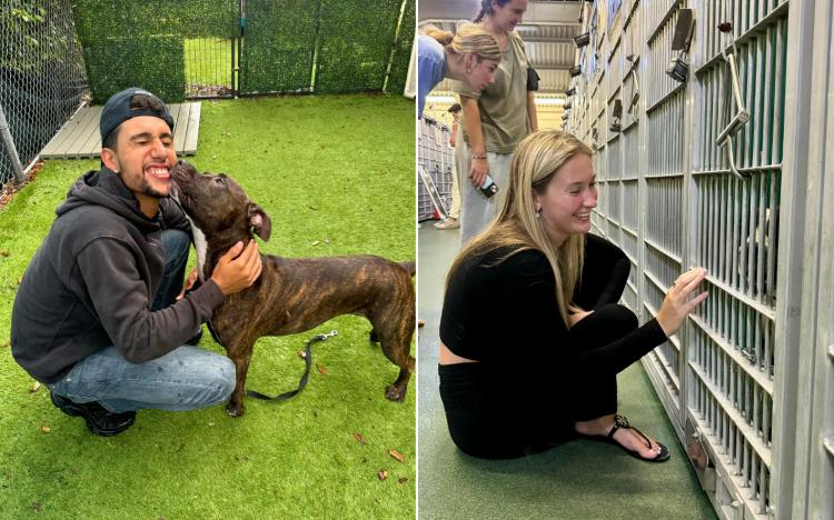 Behind the Scenes of a Heartwarming Rescue Effort