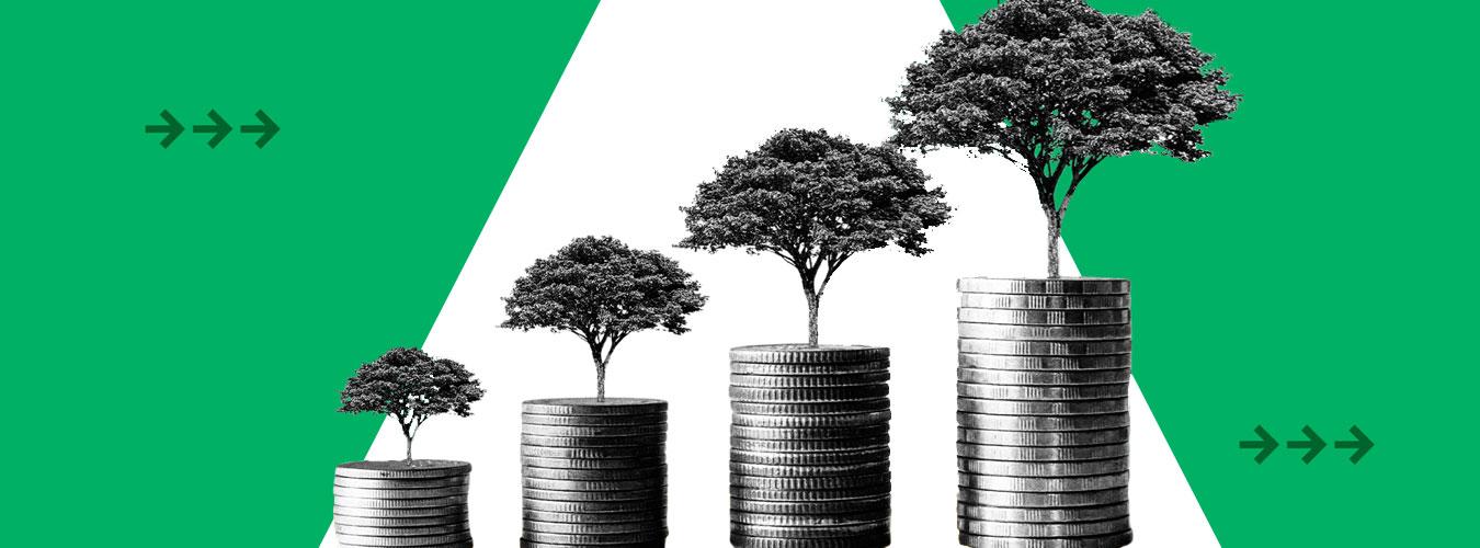 Evaluating Environmental Claims Through Transparent Reporting