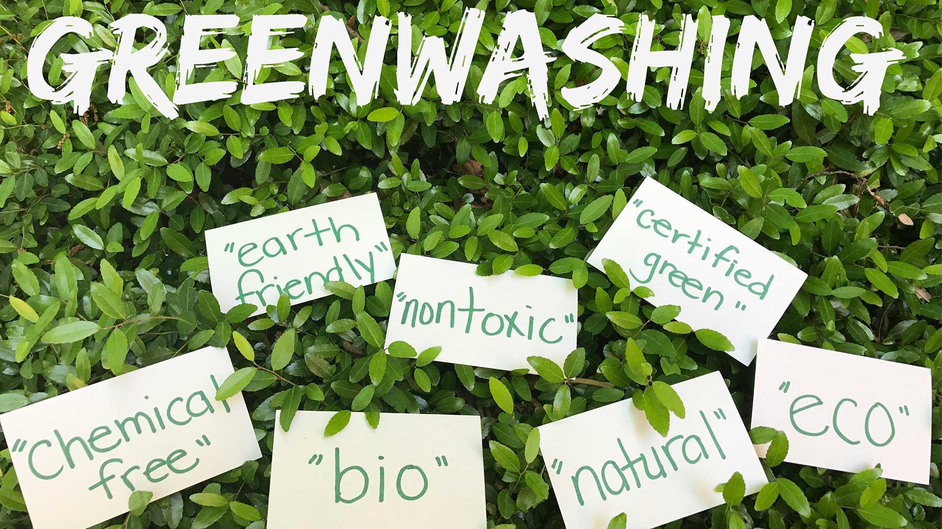 Greenwashing vs. Real Sustainability: How to Tell