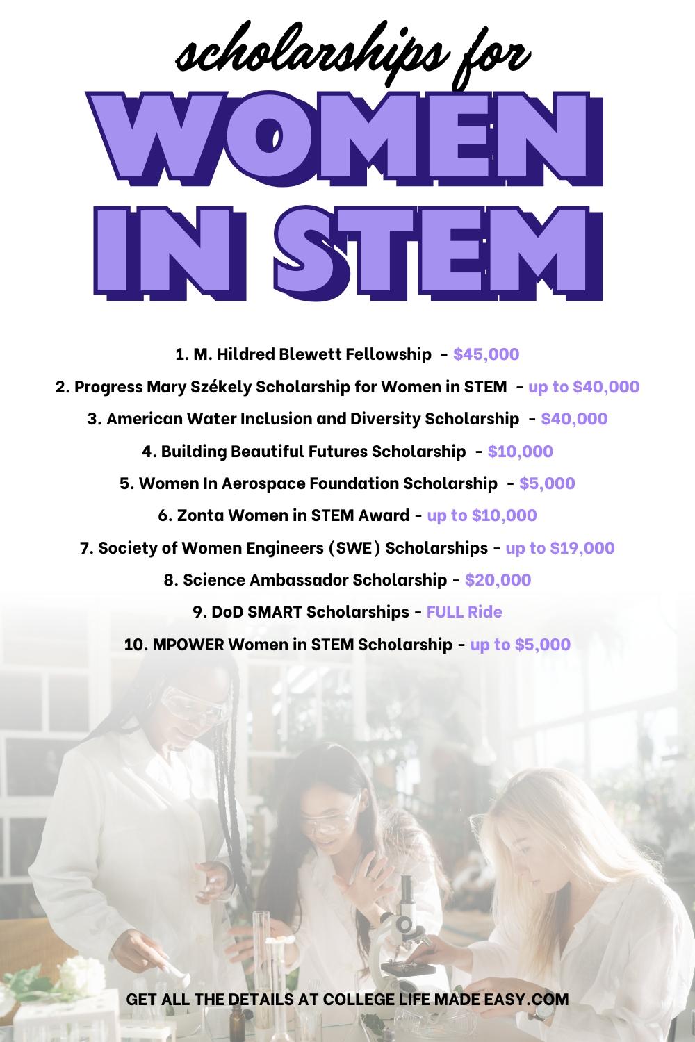 Exploring Fields of Study Prioritized by Leading STEM Scholarships