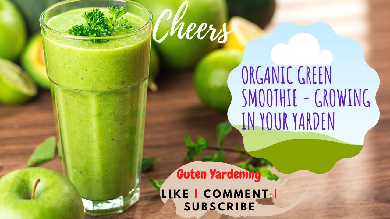 Why Millennials Are Leading the Green Smoothie Comeback