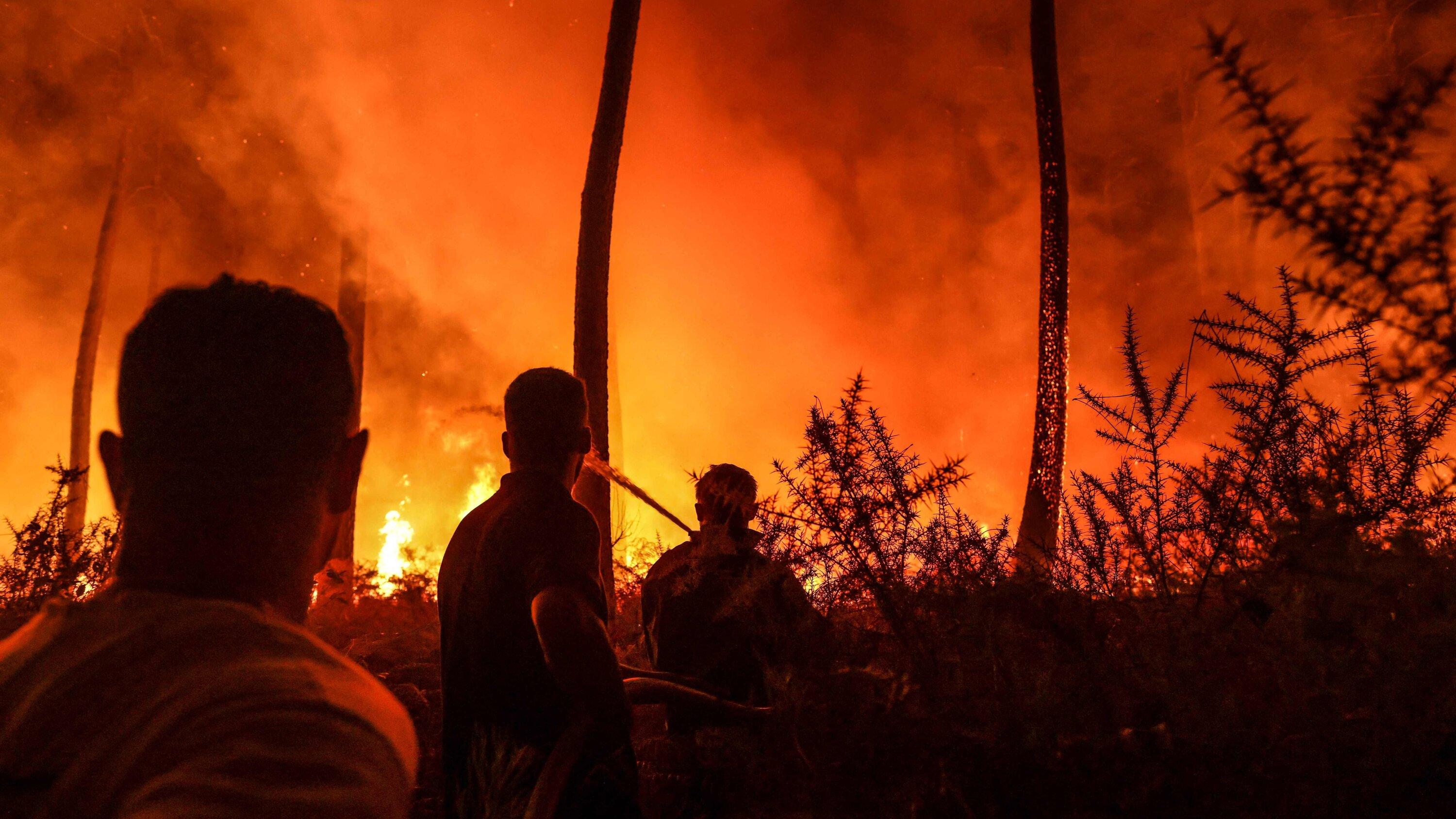 France Declares Emergency Over Wildfires in Provence