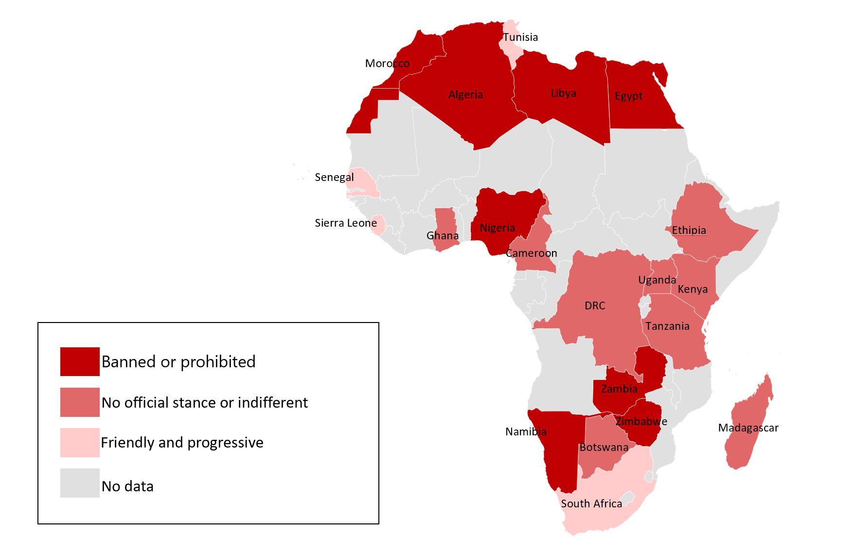 Challenges and Opportunities in Africa's Crypto Ecosystem